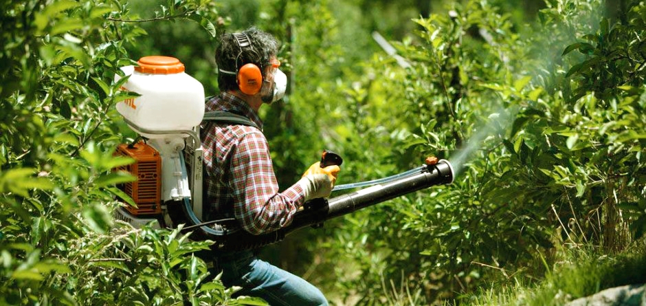 Tipos de pesticidas Guía rápida Revista Ferrepat